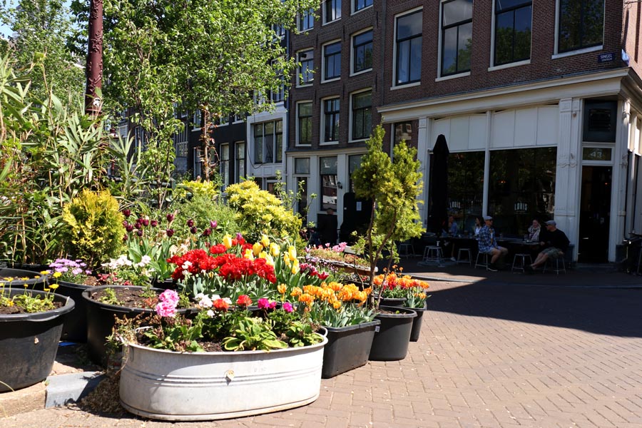 flowers-amsterdam