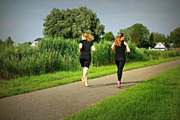 Keep fit in the Netherlands