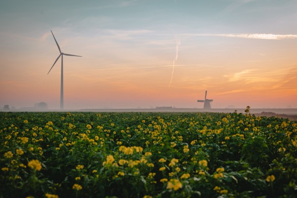 Sustainable Living as Expat in the Netherlands